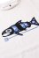 画像3: 「CAL O LINE」TRIDENT FISH T-SHIRTS キャルオーライン トライデント フィッシュ 半袖Tシャツ  CL191-084 [ホワイト]