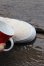 画像6: 「MARQUEE PLAYER」 SNEAKER WATER REPELLENT スニーカー用 撥水撥油スプレー No.01 420ml [RH-01] 