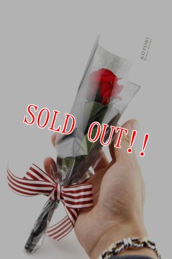 画像4: [再入荷]「KOTORI」×「JAMS」クリスマス ローズ プリザーブドフラワー[レッド]