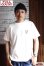画像7: 「FULLCOUNT」TIGER T-Shirt フルカウント タイガー プリントTシャツ 5500PT-14 [ホワイト]