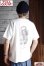 画像9: 「FULLCOUNT」TIGER T-Shirt フルカウント タイガー プリントTシャツ 5500PT-14 [ホワイト]