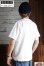 画像8: 「ILL180°」"BEAT" Tee イルワンエイティ ビート 心電図 プリント 半袖 Tシャツ ILL251-37 [ホワイト]