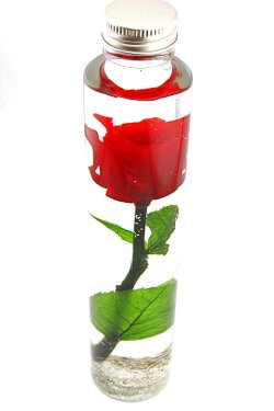 画像2: [完全受注生産]「KOTORI」×「JAMS」ROSE GLASS ローズ グラス 薔薇のハーバリウム [レッド]