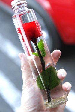 画像6: [完全受注生産]「KOTORI」×「JAMS」ROSE GLASS ローズ グラス 薔薇のハーバリウム [レッド]