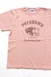 画像2: 「Pherrows」 フェローズ  バッファローロゴ プリント半袖Tシャツ PT2 [ホワイト・グレー・ブラック・シダン・ネイビー] (2)