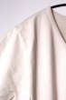 画像13: 「JELADO」V-Neck Tee ジェラード Vネック 丸胴 半袖Tシャツ AB94215 [バニラ・マスタード・ネイビー] (13)