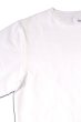 画像4: 「CAL O LINE」AMERICA WAVE T-SHIRTS キャルオーライン アメリカ ウェーブ 半袖Tシャツ  CL191-091 [ホワイト] (4)