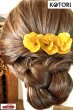 画像10: 「KOTORI」×「JAMS」 逆バレンタイン企画 2025年 リアルフラワー ヘアクリップ [2ピースセット] (10)